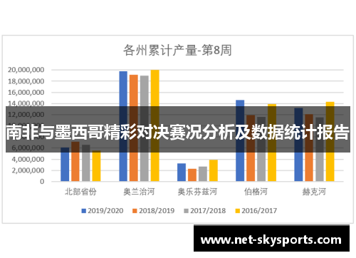 南非与墨西哥精彩对决赛况分析及数据统计报告